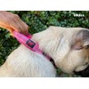 Heavy Duty Dog Collar with Handle | Ballistic Nylon Heavy