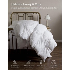 Cloud Down Comforter Twin Size Duvet Insert | Fluffy 750 Fill-Power, Silky-Soft Breathable Hotel Collection Medium Warm Feathers Down Comforter for All Seasons (68x90, White)