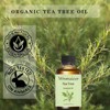 Wnmaicer Organic Tea Tree Oil 4 Fl Oz - 100%