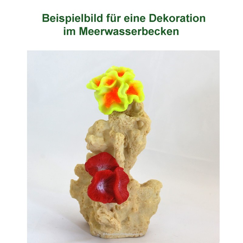 Rock/Stone, 9.5 x 8 x 14 cm, Nano Aquarium Seawater