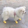 Yeduzyn 4Pcs Waterproof Dog Boots Dog Shoes for Snow and