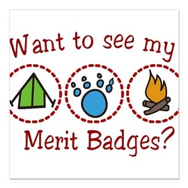 CafePress Merit Badges Square Car Magnet 3 X 3 Square Car Magnet, Magnetic Bumper Display
