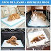 Pañales para Perro 40P, Tapetes Entrenadores 60x60cm, 6 Capas Antifugas