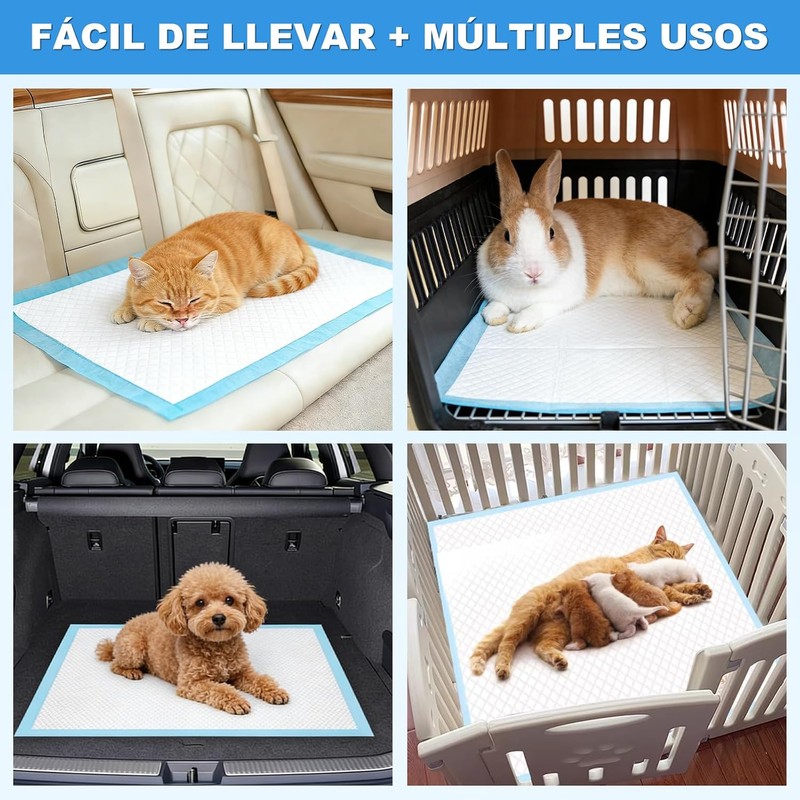 Pañales para Perro 40P, Tapetes Entrenadores 60x60cm, 6 Capas Antifugas