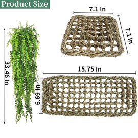 MUYG Reptile Lounger,Bearded Dragon Hammock,100% Natural Seagrass Reptiles Hammocks Hanging Plants Climbing Jungle Vines Flexible Leaves Habitat Decoration for Lizard Geckos Snakes (4 PCS)