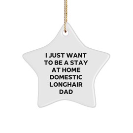 Funny Domestic Longhair Cat Dad Gifts - I Just Want to Be A Stay at Home Domestic Longhair Cat Inspiration Star Ornament for Christmas Memorable Presents for Cat Lovers