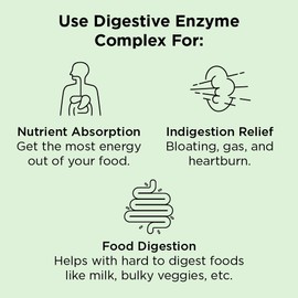 Nbpure Vegan Digestive Enzyme Complex – Daily Bloating, Gas, & Food Digestive Support for Women & Men – 12 Enzymes & 3 Herbs – Lactase, Protease, Lipase, Ginger, Cinnamon, Peppermint + More