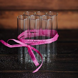 Tuuters.de Vase Insert 6 Pieces, Test Tube Vase, Ideal for Cuttings, Mini Vase Set (130 x Diameter 30 mm)