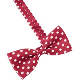 Ancoroc D onesize Men's Bowtie, Women's, Bowtie, Ribbon Tie, Striped, Polka Dot Pattern, D