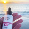 Organic Pomegranate Face Oil - Garden of Oils® - Vitalising