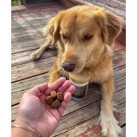 BUDDYREST Soothe™ Salmon Bites Skin and Coat Care