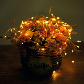 Bollengold USB Fairy Lights,2Pack 12M/40Ft 120LED String Lights, 8 Modes Waterproof Lights for Garden Patio Yard Wedding Party Christmas (Warm White)