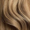Bronde Balayage Single Hair Color Sample