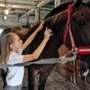Horse Grooming Kit - 3 Pcs Black Sponges for Cleaning,