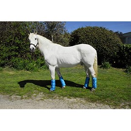 Rhinegold 0 Elite Half Length Travel Boat Pony Turquoise Travel Boots