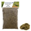 WWS War World Scenics WWScenics | 4mm Patchy Static Grass