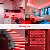 Lamomo LED Neon Lights, 16.4ft Red LED Strip Light, 12V