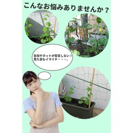 pkpohs Vegetable Garden Cross Band Posts, Fixed, Joints, Home Gardening, Farming, Gardening Props (0.6 inches (16 mm)