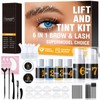 6-IN-1 Lash Lift and Brow Lamination Kit, Black & Dark