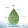 JOSALINAS Nature Konjac Facial Sponge 3 Packs with Activated Bamboo