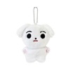 Swico Remado Kpop Keychains Cute Cartoon Animal Keyring Car Key