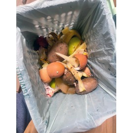 bioMat 2.6 Gallon Compostable Bags with Handle Ties, 125 Count, Tear Resistant & Leak Proof Compostable Trash Bags for Countertop Bin, BPI ASTM D6400 OK Compost Home