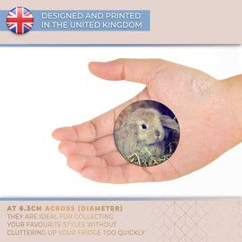 Destination Vinyl ltd Magnet for Refrigerator, Fridge - Cute Baby Bunny Rabbit Pet Animal for Office, Cabinet and Whiteboard, Magnetic Stickers, 44752