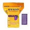 Auto Scents Professional Air Freshener Pads - Grape Scent (60