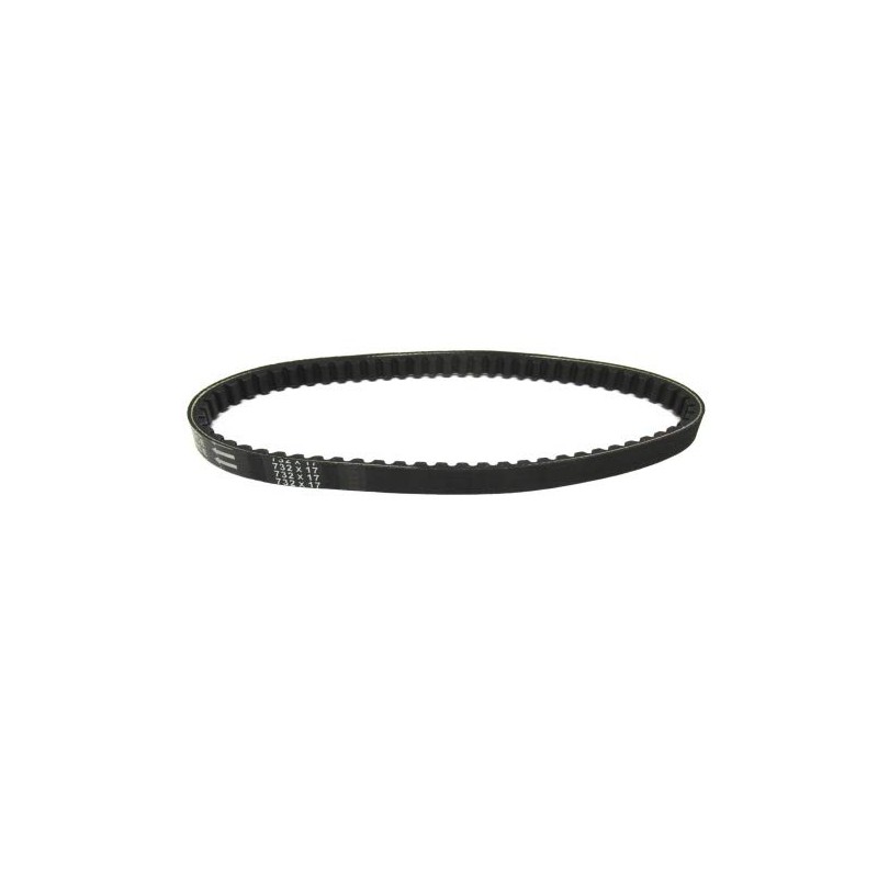 Drive Belt 17 x 732mm Fits Piaggio Sfera NSL1T, Zip