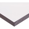 Polycarbonate Sheet, Clear, .030" Thick, 12" Width, 24" Length