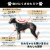 Shiba Inu Harness, Simple, Stylish, Cute, Small Dogs, Medium Dogs,