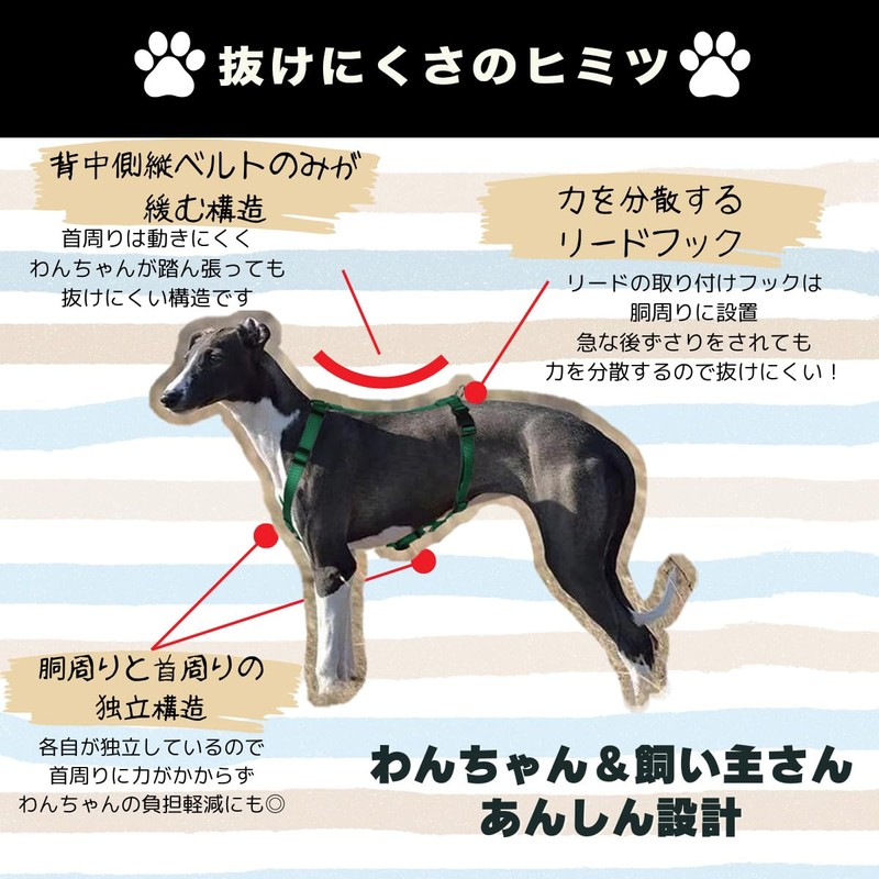 Shiba Inu Harness, Simple, Stylish, Cute, Small Dogs, Medium Dogs,