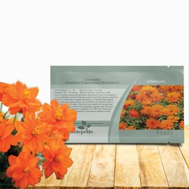 Outsidepride Mandarin Cosmos Sulphureus Seeds - 100 Pcs Annual, Pollinator-Friendly & Drought Tolerant Flower Seeds for Planting w/Vibrant Double Blooms for Low Maintenance Landscaping & Xeriscaping