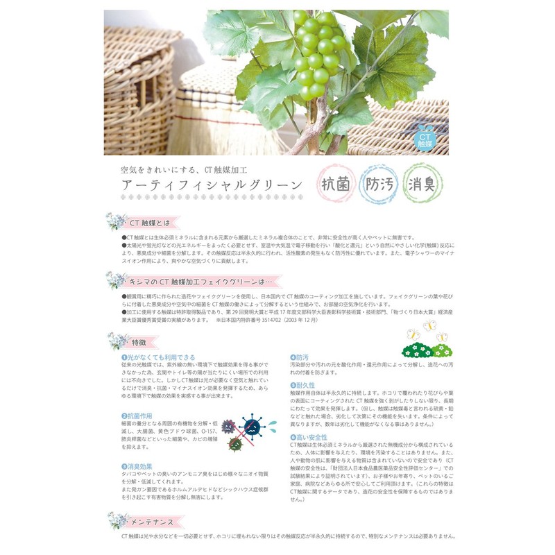Kishima KH-61034 KH-61034 Prairie Deodorizing Artificial Green, Natural