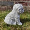 Vivid Arts Pet Pals Bichon Frise Puppy PP-BCHN-F