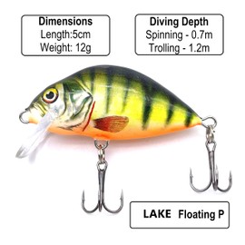 EVERBAY DORADO Wobbler Fishing Lure-Artificial Hard Crankbait-Fishing Tackle, Topwater Life-Like Swimbait for Trout Perch Pike Zander Catfish Chub Barbel Trolling in Freshwater, Floating - LAKE 5cm P