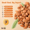 Berrilys Organic Bitter Apricot Kernels - USDA Certified Organic Bitter