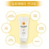 알로에베라 썬크림 자외선차단 백탁없는 기능성화장품 45g 순한피부용 Aloe Vera Sun