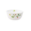 Corelle Dinnerware