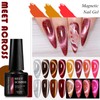 MEET ACROSS 8pcs Cat Eye Gel Nail Polish Set,Soak off