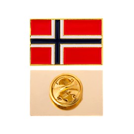 Desert Cactus Norway Flag Lapel Pin Country Enamel Made of Metal Souvenir Hat Men Women Patriotic (Rectangle Pin)