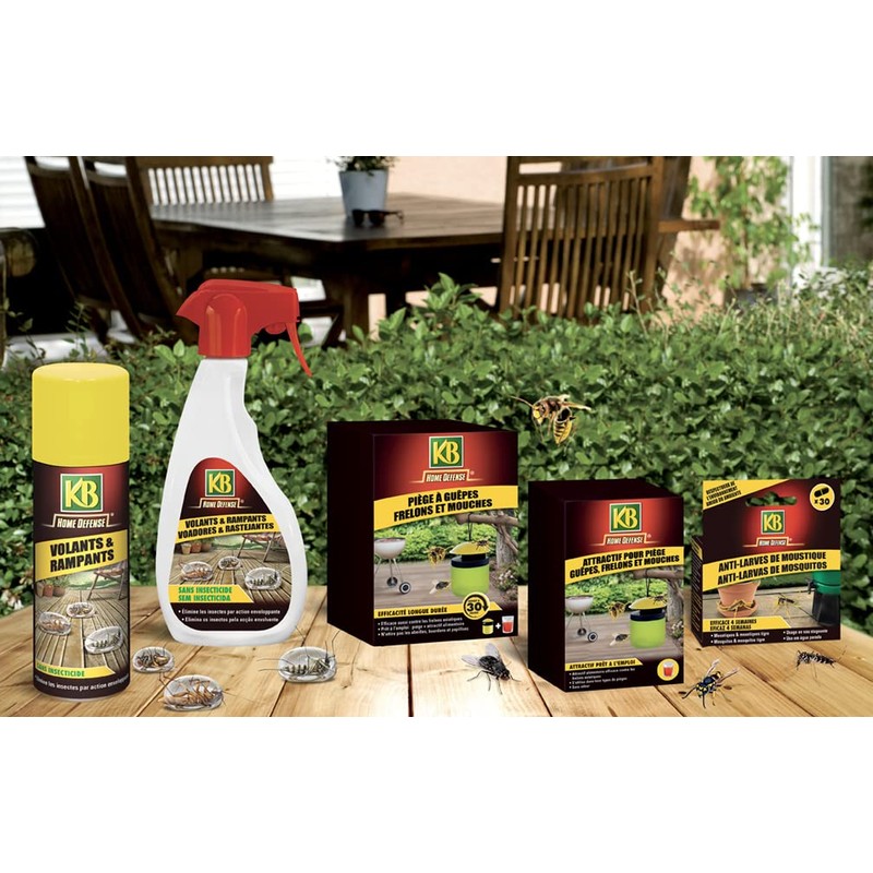 KB Home Defense PIEGE A GUEPES FRELONS ET MOUCHES X6