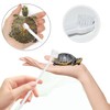 2pcs Turtle Brush with Suction Cup, Turtles Shell Scrub Scratcher