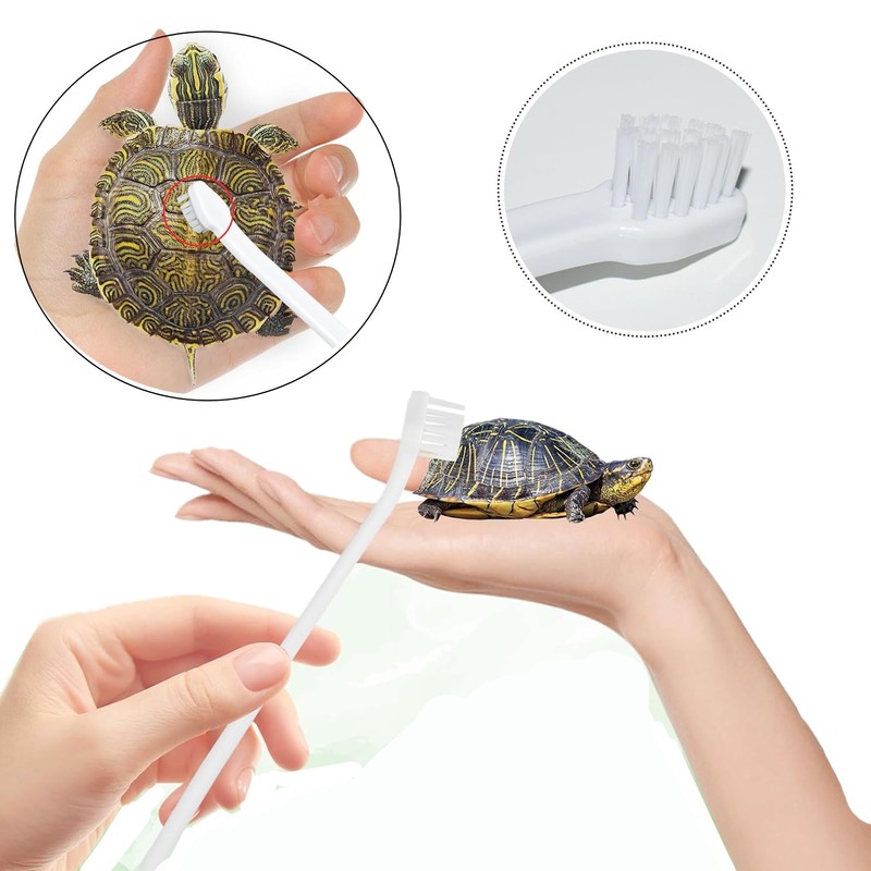 2pcs Turtle Brush with Suction Cup, Turtles Shell Scrub Scratcher