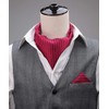 HISDERN Red Cravats for Men Wedding Polka Dot Ascot and