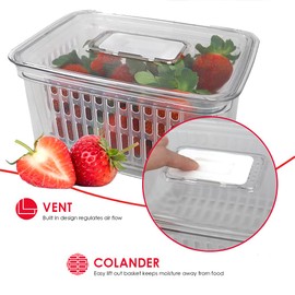 Home Basics Clear Fruit and Vegetable Fridge Storage Container Small Produce Saver with Lid and Removable Colander | Adjustable Air Vent on Lid