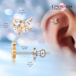 Limerencia Titanium Stud Earrings for Women, G23 Implant Quality Medical Earrings, Nickel-Free Health Plugs for Sensitive Ears, Titanium