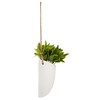 ATMOSPHERA CREATEUR D'INTERIEUR Hanging wall plant H20
