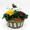 Decorative Flower Stake Glitter Bird Brown 6 x 25 cm
