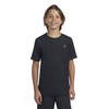 Hurley Boys' Soft Basic T-Shirt, Black Heather